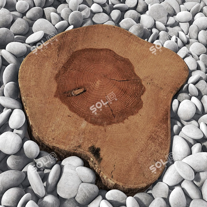 Geometry Polys Texture Mapping Material 3D model image 4