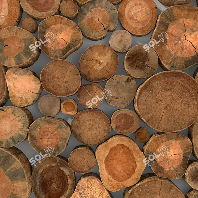 Smooth Geometry 3D Model Texture 3D model image 3