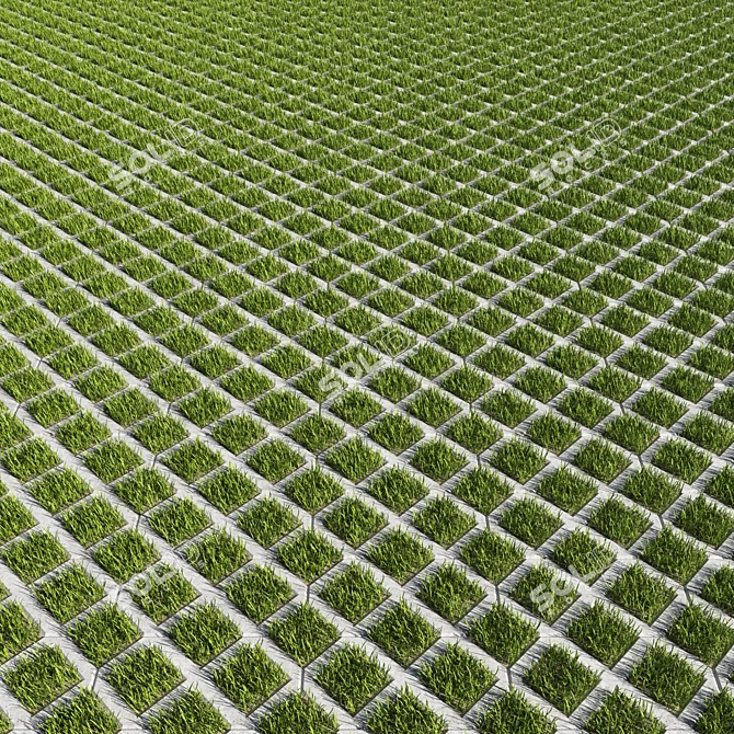 Eco-Grass Concrete Paver 3D model image 1