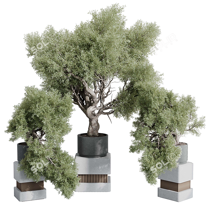 Modern Indoor Plant Set 389 3D model image 7
