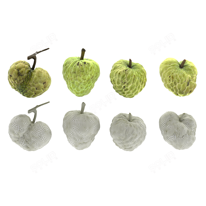 Taiwan Sugar Apple Model Kit 3D model image 3