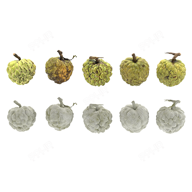 Vietnamese Custard Apple 3D Model 3D model image 3