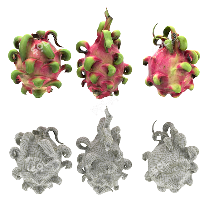 Dragon Fruit 3D Model Kit 3D model image 3