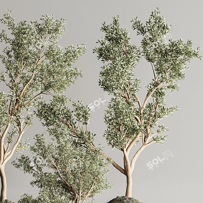 Botanical Bliss Plant Set 111 3D model image 6