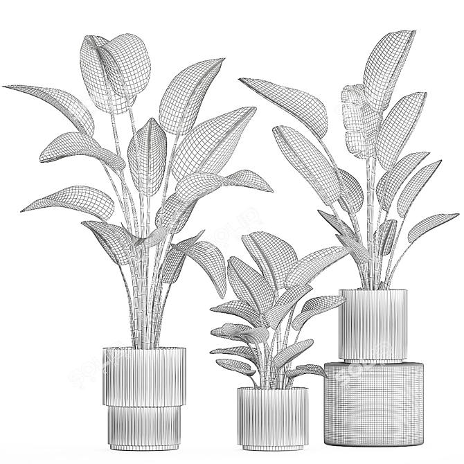 Exotic Plant Collection Concrete Decor 3D model image 6