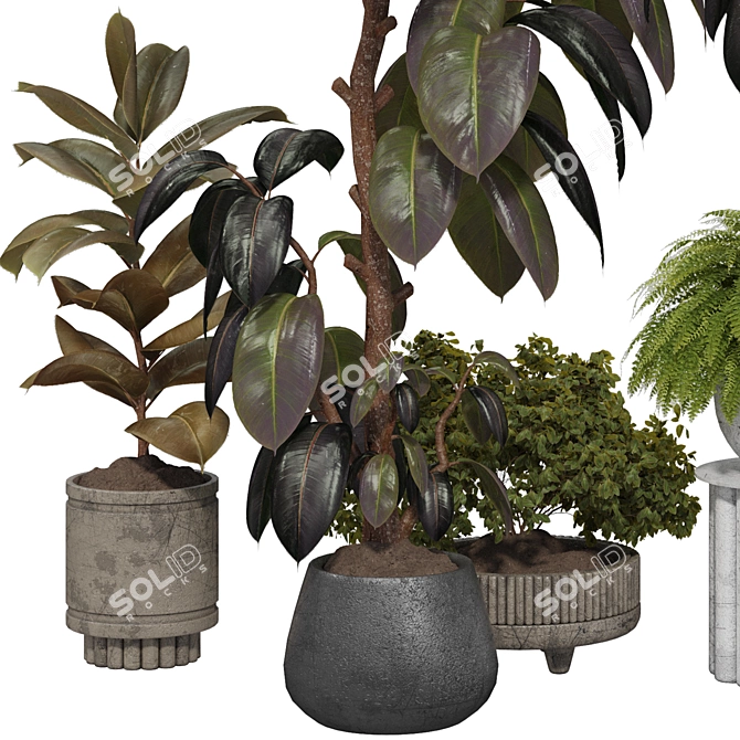 Indoor Plant 3D Model Set 3D model image 3