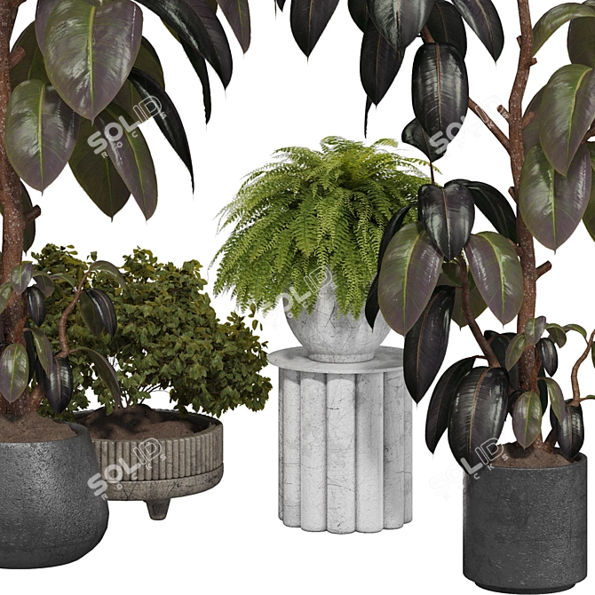 Indoor Plant 3D Model Set 3D model image 4