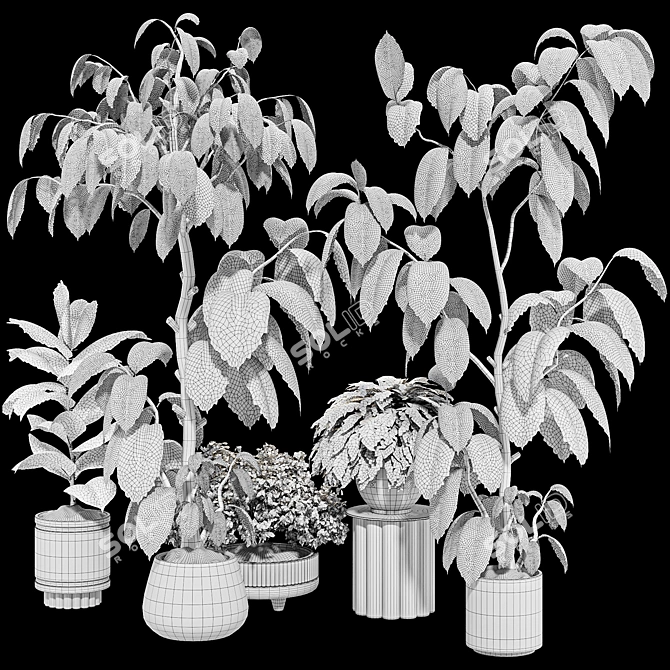 Indoor Plant 3D Model Set 3D model image 7