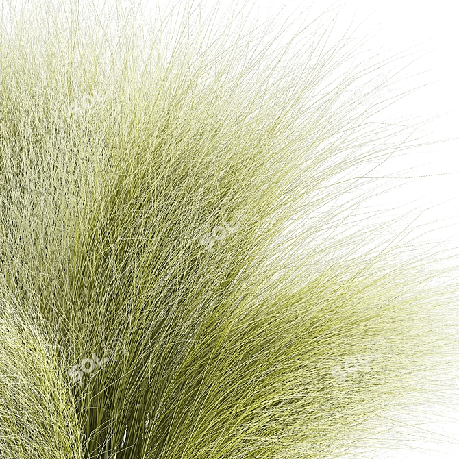 White Floral Grass Bush in Decorative Planter 3D model image 2