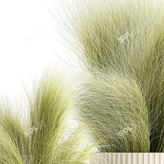 White Floral Grass Bush in Decorative Planter 3D model image 3