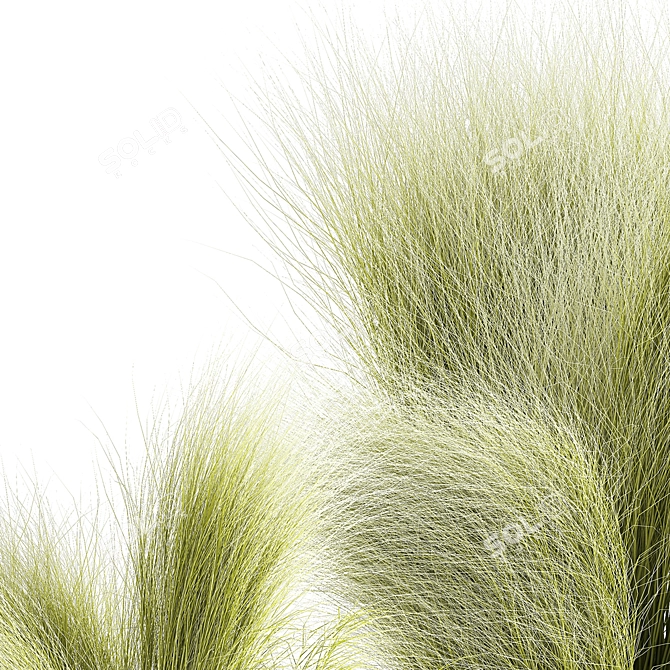 White Floral Grass Bush in Decorative Planter 3D model image 5