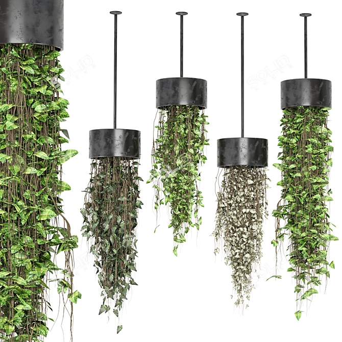 Metal Box Hanging Indoor Plants 3D model image 1