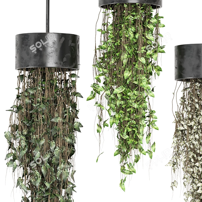 Metal Box Hanging Indoor Plants 3D model image 2