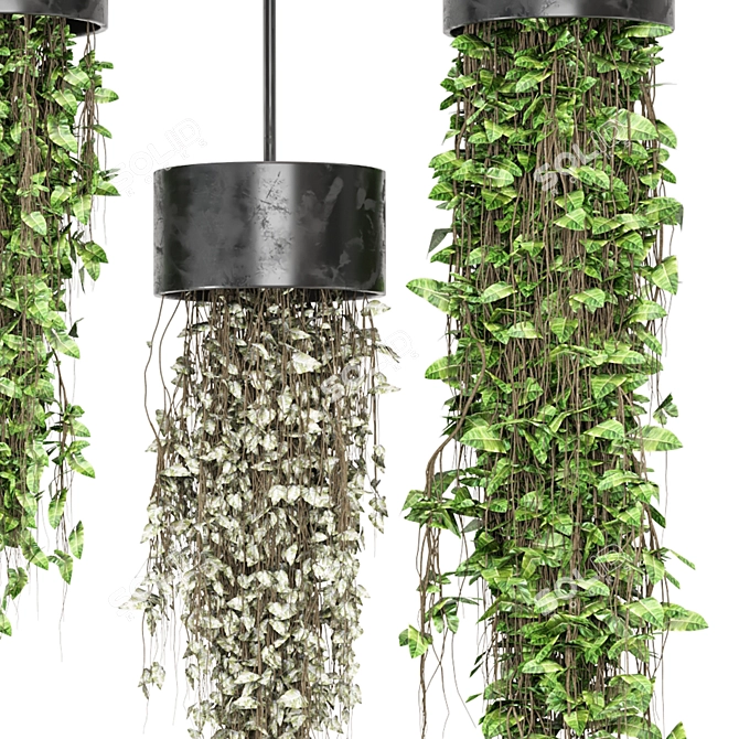 Metal Box Hanging Indoor Plants 3D model image 3