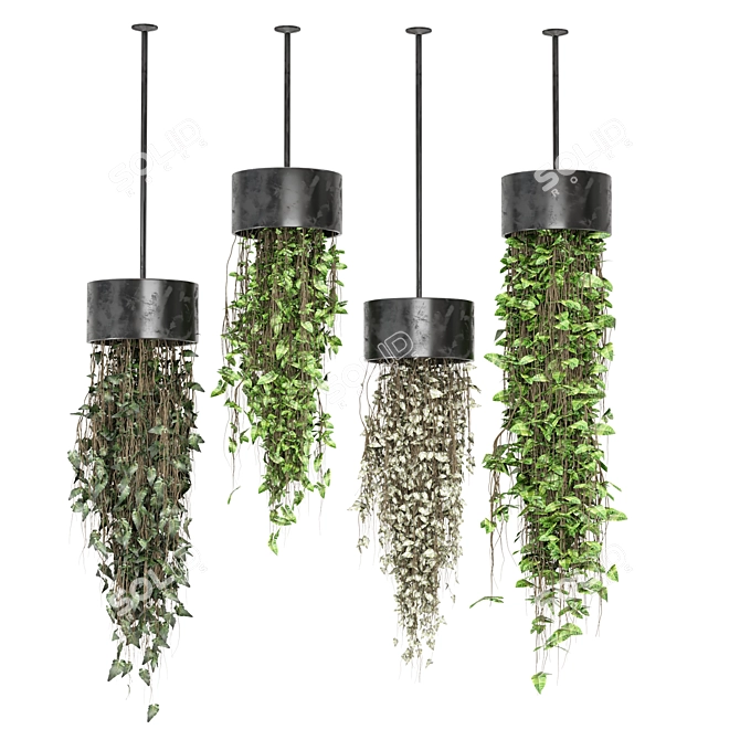 Metal Box Hanging Indoor Plants 3D model image 4