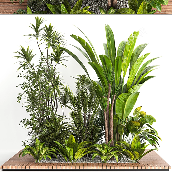  Indoor Plant Collection Vol. 47 3D model image 1