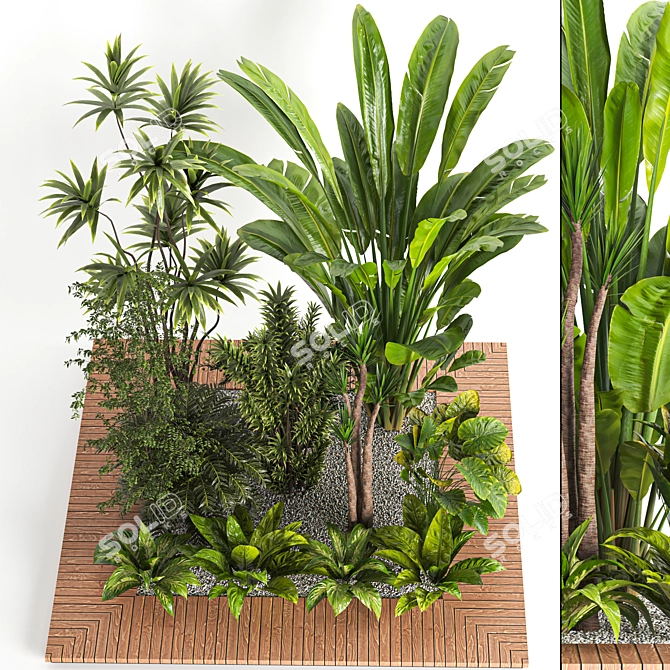  Indoor Plant Collection Vol. 47 3D model image 4