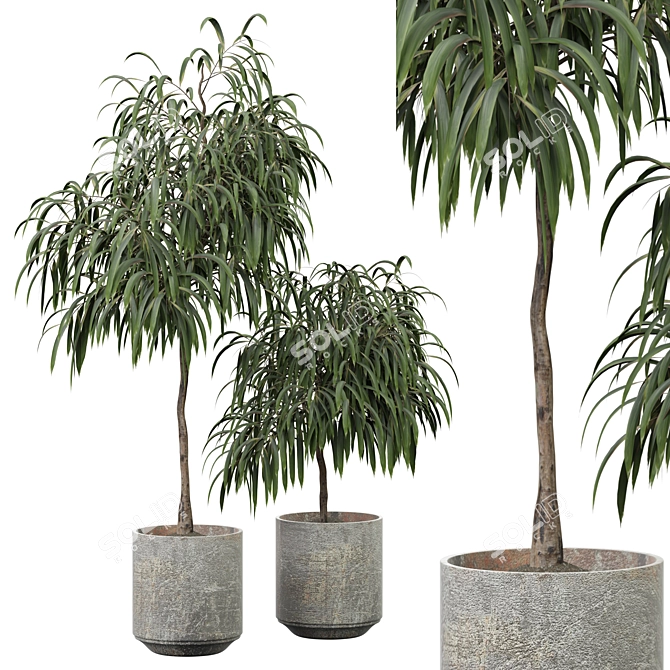 Blooming Indoor Plant 312 3D model image 1