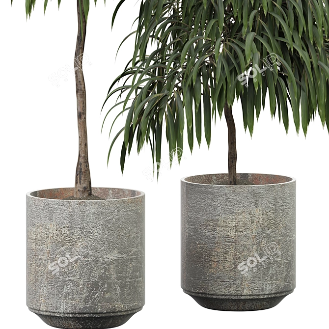 Blooming Indoor Plant 312 3D model image 2