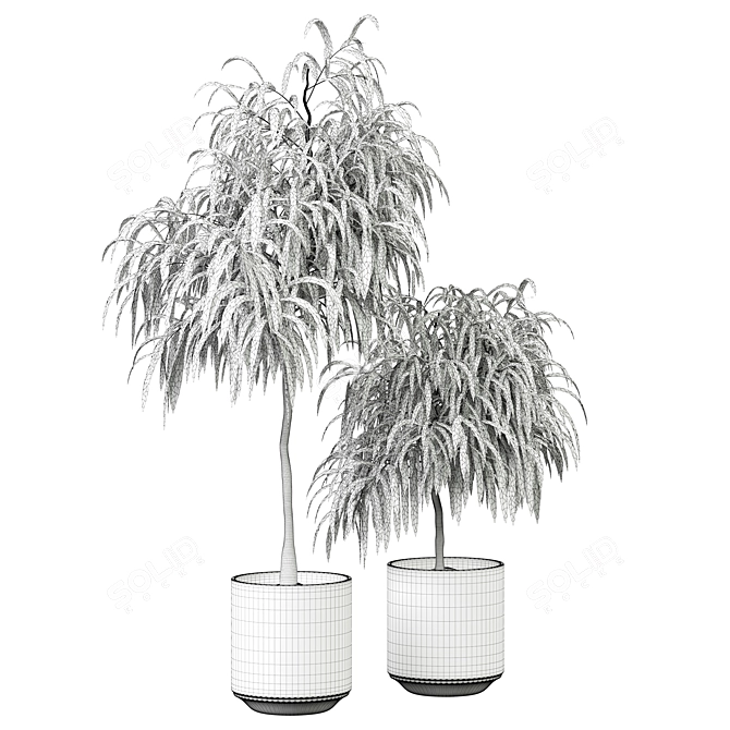 Blooming Indoor Plant 312 3D model image 3