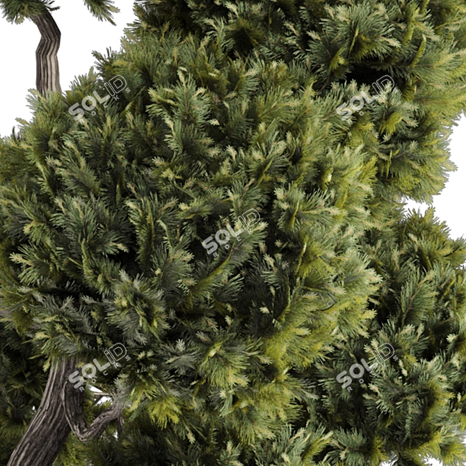 Landscaping Tree Bush Set 143 3D model image 6