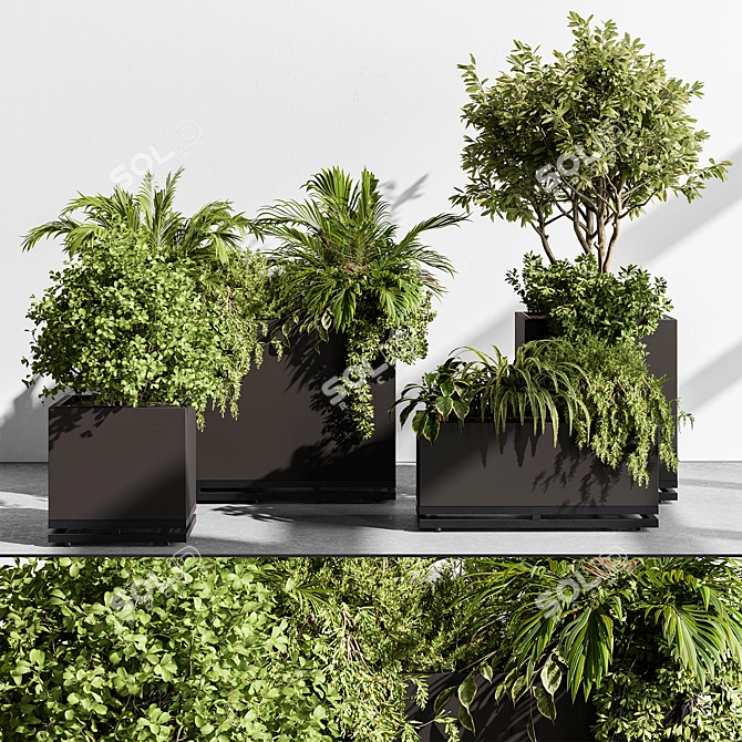 535 Indoor Plant Box 3D model image 1