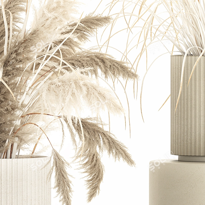 Beautiful White Pampas Grass Collection 3D model image 4