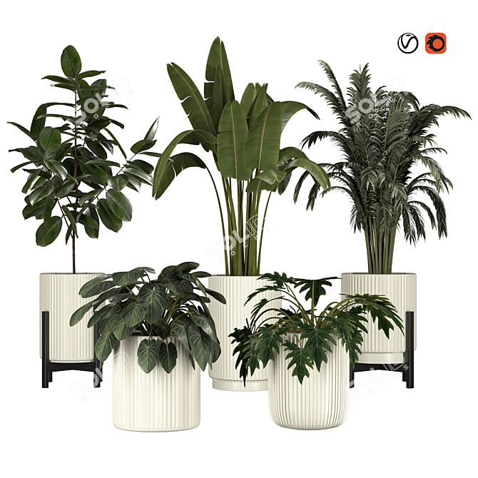 Indoor and Outdoor Plant Collection 3D model image 1