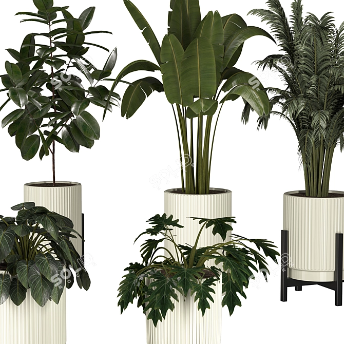 Indoor and Outdoor Plant Collection 3D model image 2