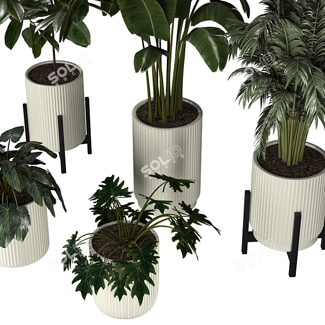 Indoor and Outdoor Plant Collection 3D model image 3