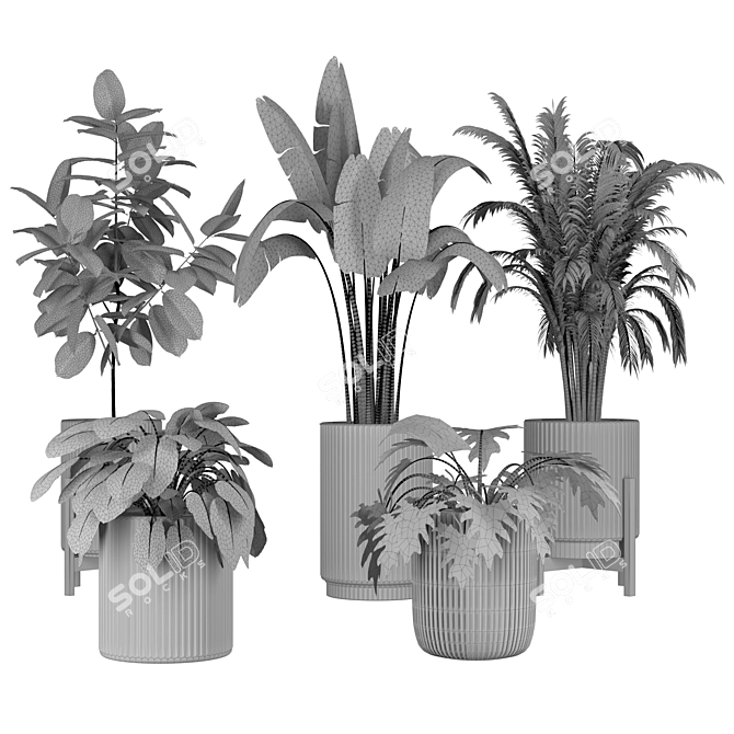 Indoor and Outdoor Plant Collection 3D model image 5