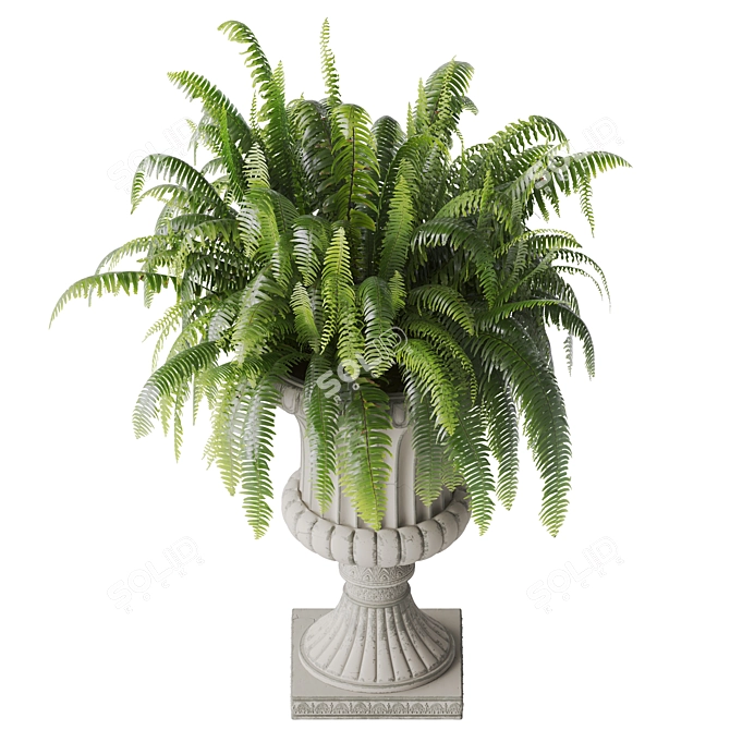 Boston Fern Vase Decoration Model 3D model image 2