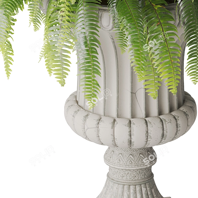 Boston Fern Vase Decoration Model 3D model image 3