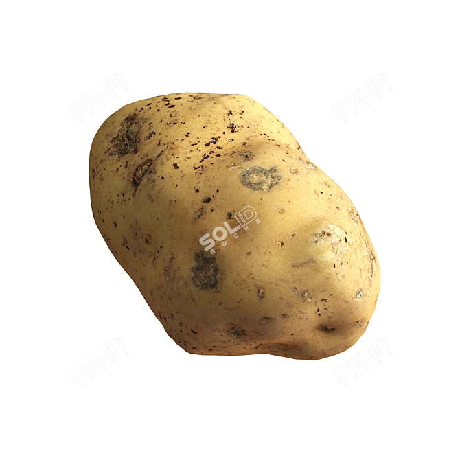 Realistic Potato 3D Model Kit 3D model image 2