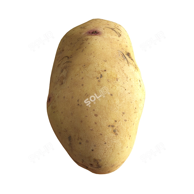 Realistic Potato 3D Model Kit 3D model image 5