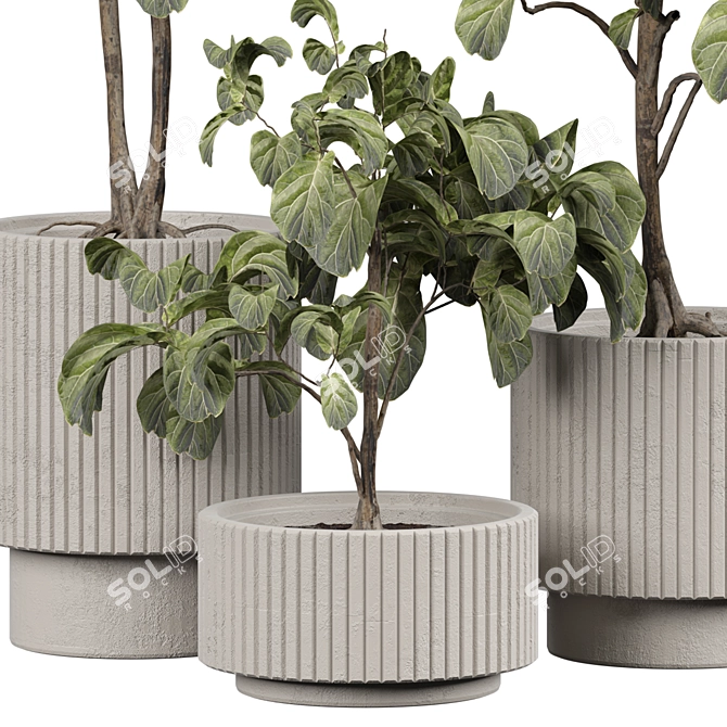 Modern Indoor Plant Model 3D model image 2