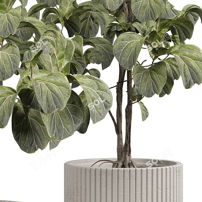 Modern Indoor Plant Model 3D model image 3
