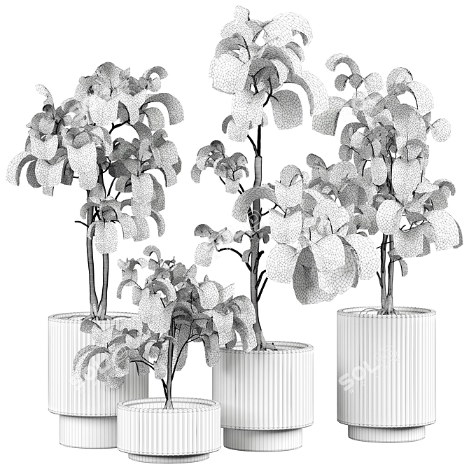 Modern Indoor Plant Model 3D model image 4