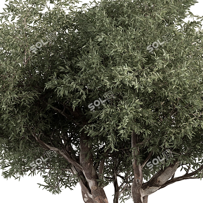 Crimson Wood Set 178 3D model image 3