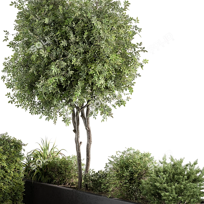 Outdoor Plant Box Garden - 540 3D model image 3