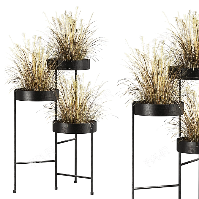 Botanical Collection 3D Models Bundle 3D model image 1