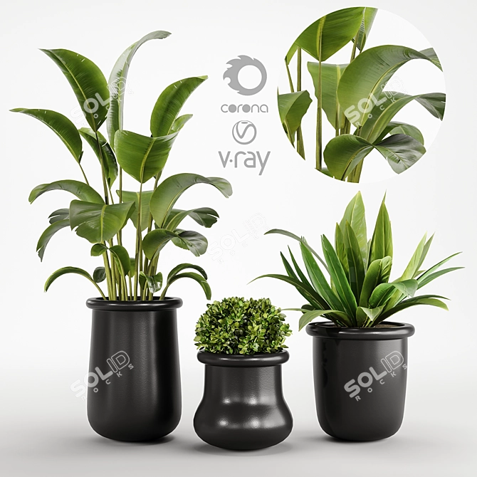 Modern Indoor Plant Set Kits 3D model image 1