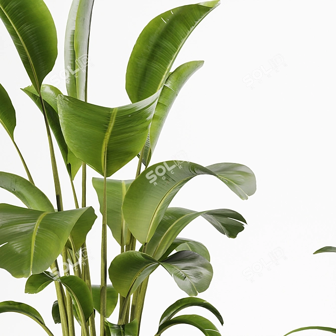 Modern Indoor Plant Set Kits 3D model image 2