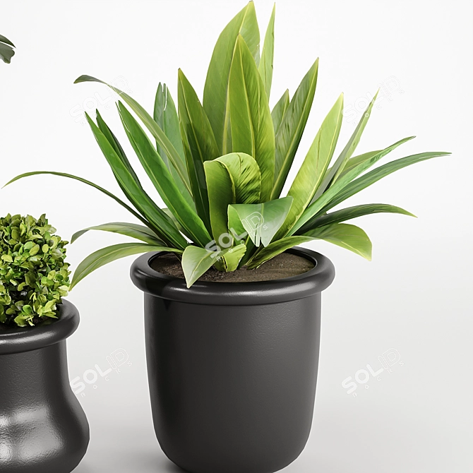 Modern Indoor Plant Set Kits 3D model image 3