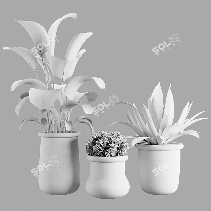 Modern Indoor Plant Set Kits 3D model image 5