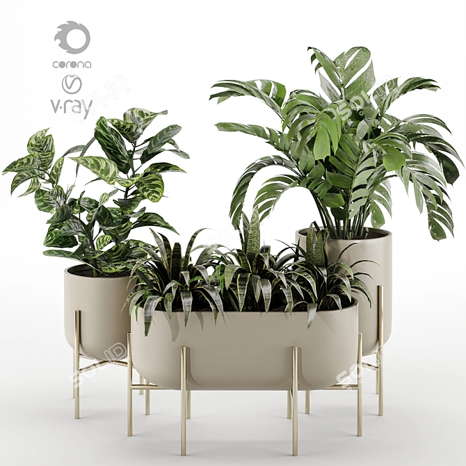 Versatile Indoor Plant Set 3D model image 1