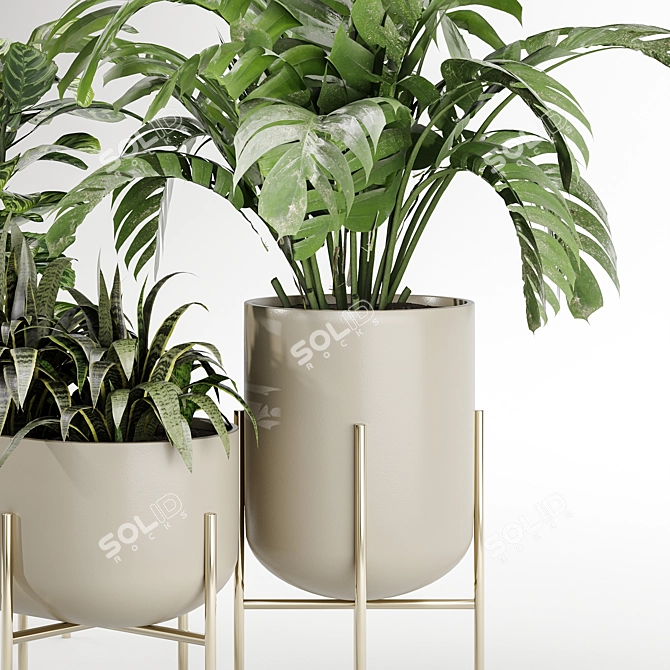 Versatile Indoor Plant Set 3D model image 2
