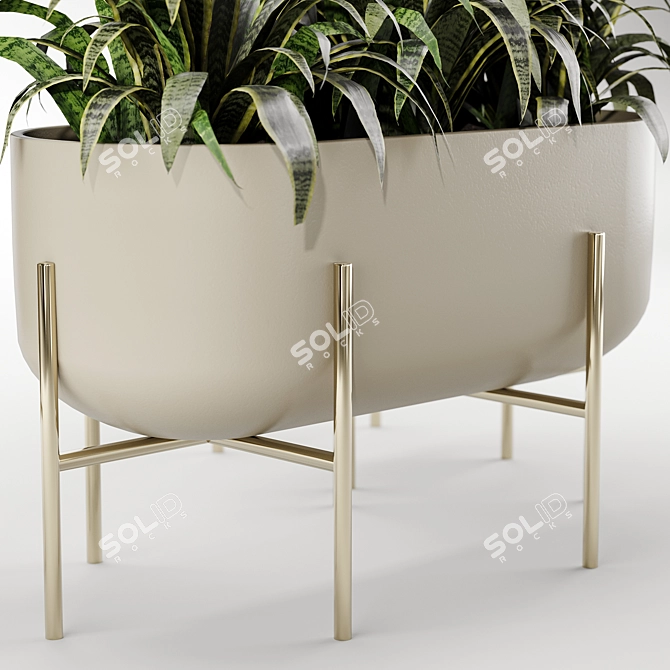 Versatile Indoor Plant Set 3D model image 4