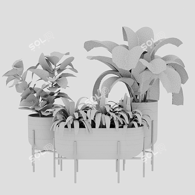 Versatile Indoor Plant Set 3D model image 5