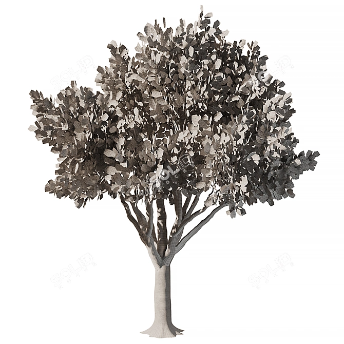 Exquisite Mahogany Tree Model 2016 3D model image 4